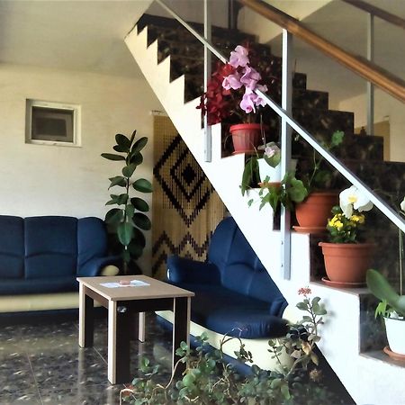Vila Nico Costinesti Esterno foto