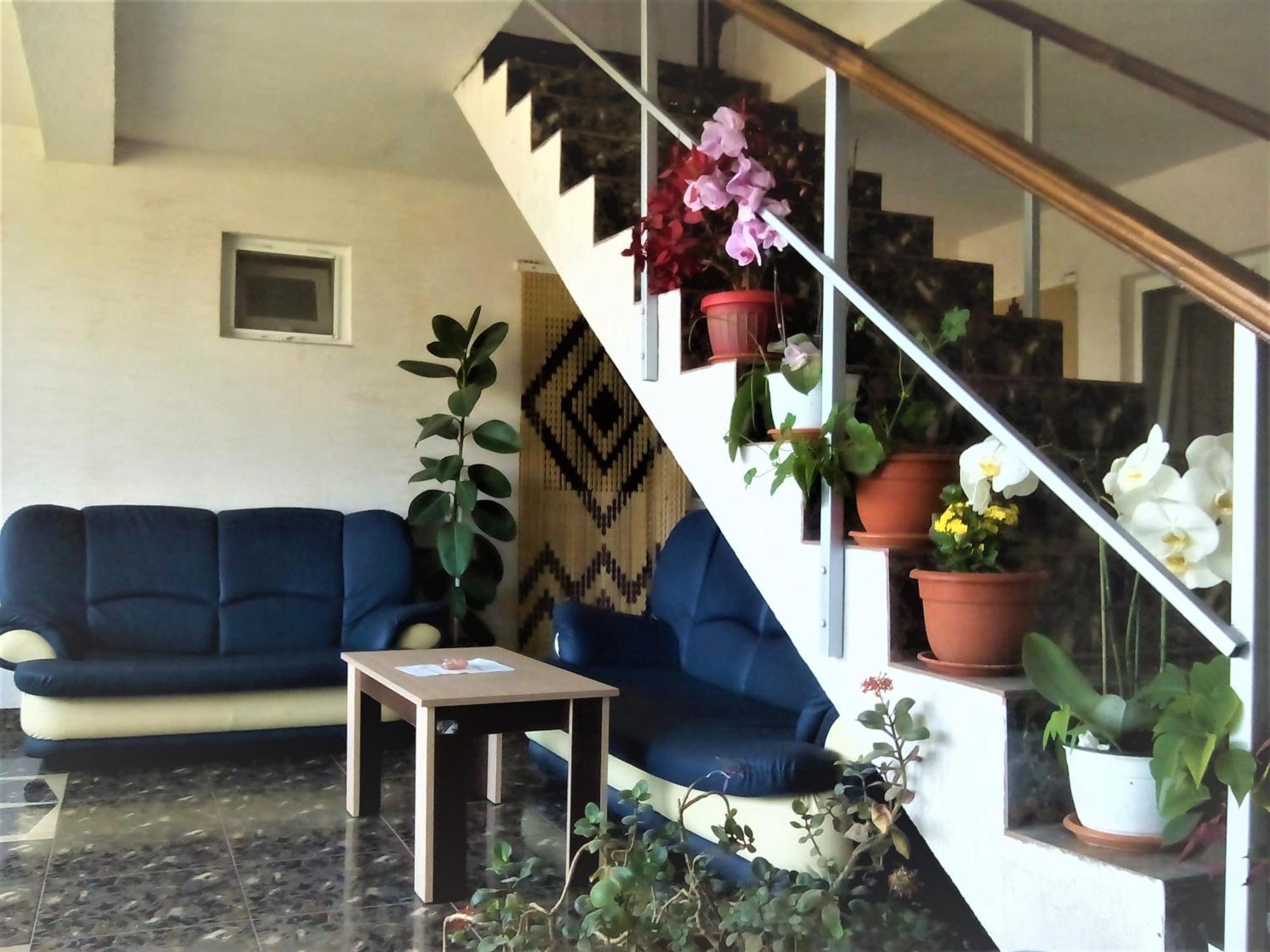 Vila Nico Costinesti Esterno foto